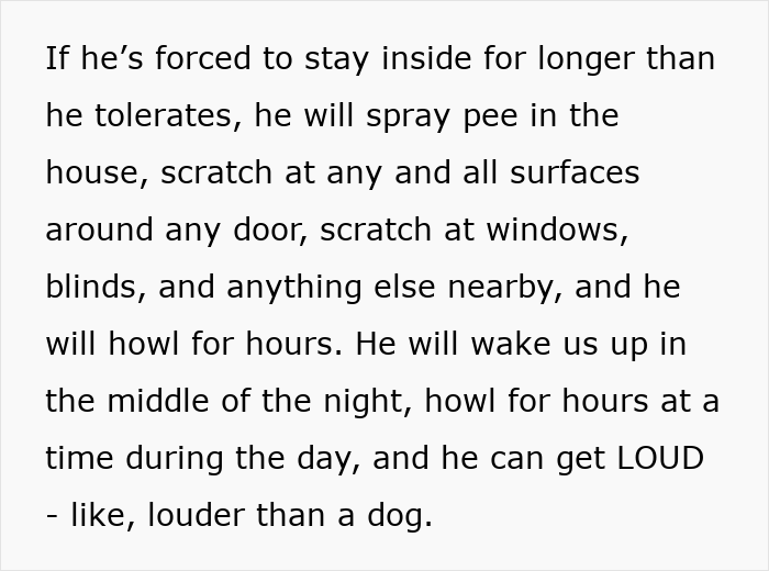 Person’s Cat Starts Disappearing For Days, Turns Out The Neighbor Has Been ‘Adopting’ Him Person’s Cat Starts Disappearing For Days, Turns Out The Neighbor Has Been ‘Adopting’ Him