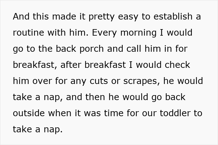 Person’s Cat Starts Disappearing For Days, Turns Out The Neighbor Has Been ‘Adopting’ Him Person’s Cat Starts Disappearing For Days, Turns Out The Neighbor Has Been ‘Adopting’ Him
