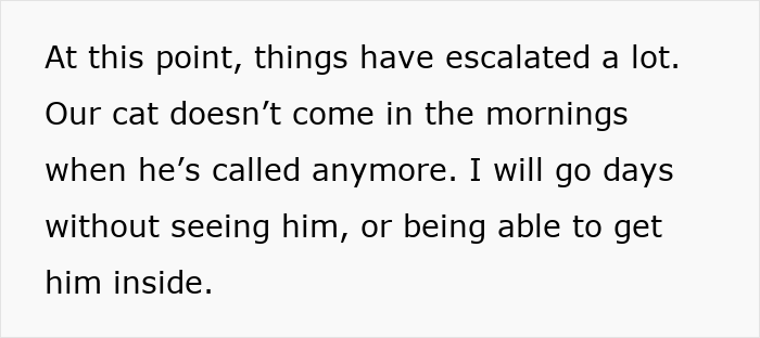 Person’s Cat Starts Disappearing For Days, Turns Out The Neighbor Has Been ‘Adopting’ Him Person’s Cat Starts Disappearing For Days, Turns Out The Neighbor Has Been ‘Adopting’ Him