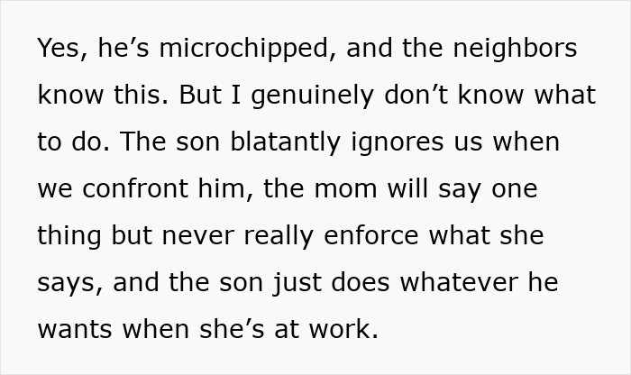 Person’s Cat Starts Disappearing For Days, Turns Out The Neighbor Has Been ‘Adopting’ Him Person’s Cat Starts Disappearing For Days, Turns Out The Neighbor Has Been ‘Adopting’ Him