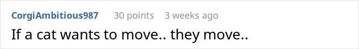 Person’s Cat Starts Disappearing For Days, Turns Out The Neighbor Has Been ‘Adopting’ Him Person’s Cat Starts Disappearing For Days, Turns Out The Neighbor Has Been ‘Adopting’ Him