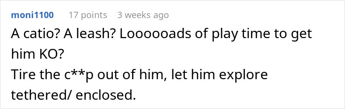 Person’s Cat Starts Disappearing For Days, Turns Out The Neighbor Has Been ‘Adopting’ Him Person’s Cat Starts Disappearing For Days, Turns Out The Neighbor Has Been ‘Adopting’ Him