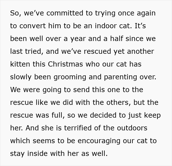 Person’s Cat Starts Disappearing For Days, Turns Out The Neighbor Has Been ‘Adopting’ Him Person’s Cat Starts Disappearing For Days, Turns Out The Neighbor Has Been ‘Adopting’ Him