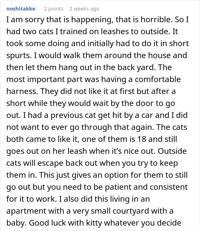 Person’s Cat Starts Disappearing For Days, Turns Out The Neighbor Has Been ‘Adopting’ Him Person’s Cat Starts Disappearing For Days, Turns Out The Neighbor Has Been ‘Adopting’ Him
