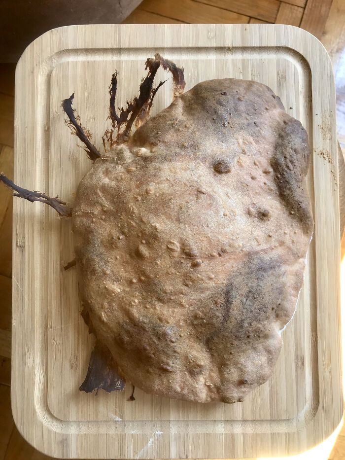 71 Times People Managed To Ruin Dessert In Ways They Didn&rsquo;t Know Were Possible