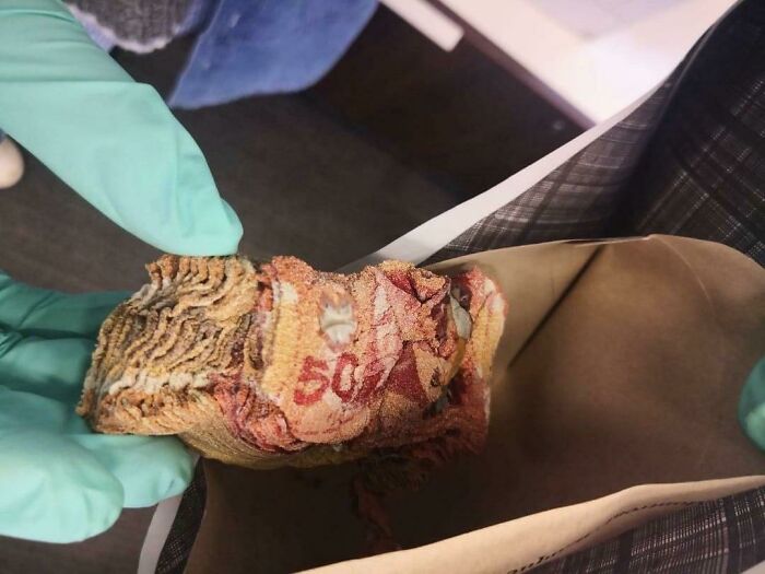 75 Unfortunate And Stupid Fails That Must Have Been Very Expensive (New Pics)