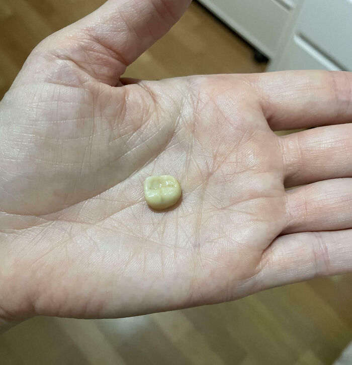 75 Unfortunate And Stupid Fails That Must Have Been Very Expensive (New Pics)