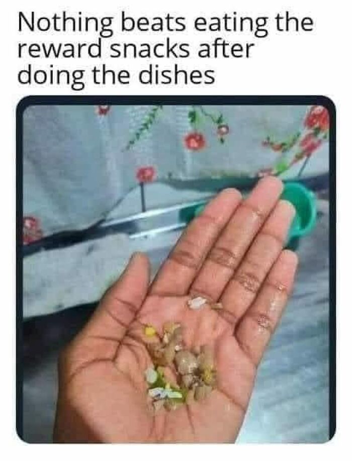 112 Posts And Memes Restaurant Workers Might Relate To Way Too Much