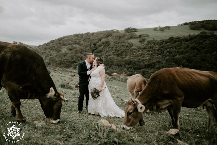 33 Award-Winning Wedding Photos From FdB Awards 2025 That Prove Love Still Looks Amazing 33 Award-Winning Wedding Photos From FdB Awards 2025 That Prove Love Still Looks Amazing