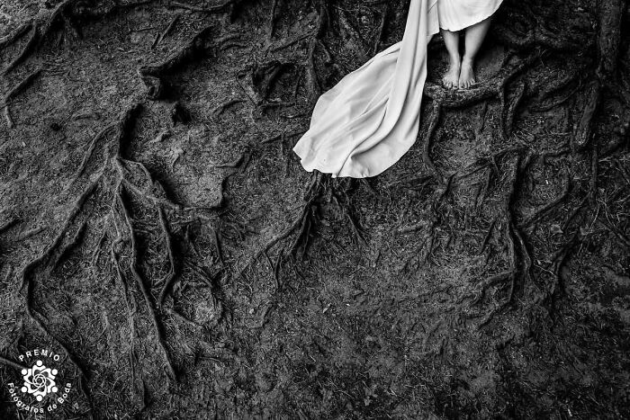 33 Award-Winning Wedding Photos From FdB Awards 2025 That Prove Love Still Looks Amazing 33 Award-Winning Wedding Photos From FdB Awards 2025 That Prove Love Still Looks Amazing