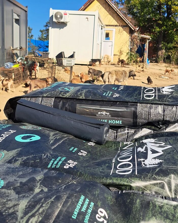 A Small Team Is Caring For 1,700+ Abandoned And Rescued Animals In Serbia&rsquo;s Largest Shelter (37 Pics)