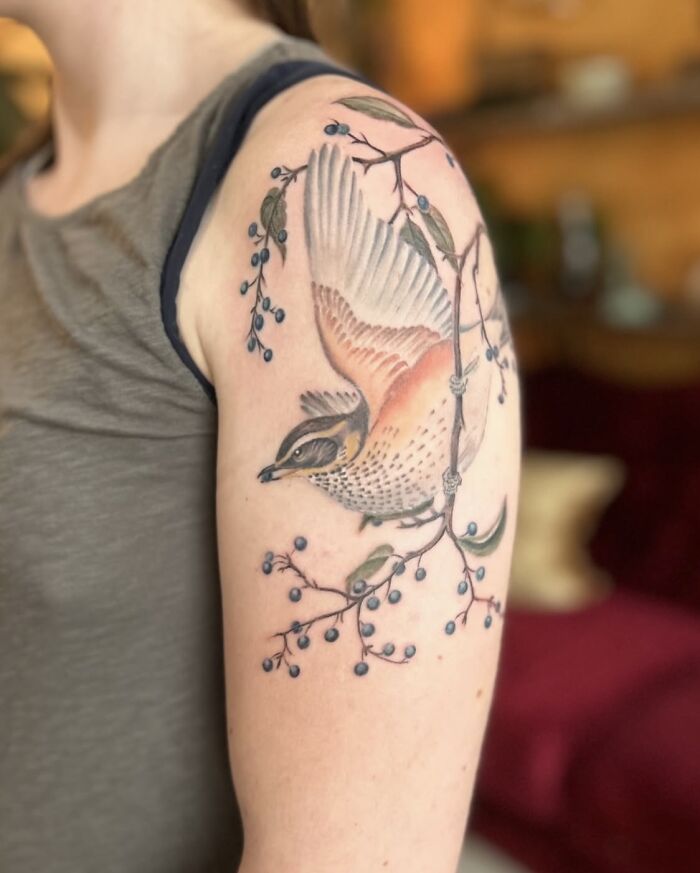 The Timeless Bird Tattoos By Tara Morgan