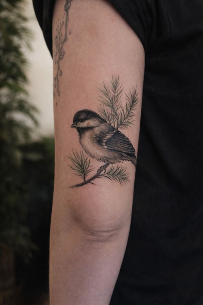 The Timeless Bird Tattoos By Tara Morgan