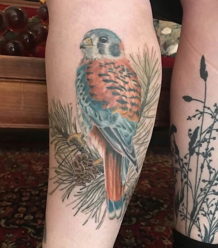 The Timeless Bird Tattoos By Tara Morgan
