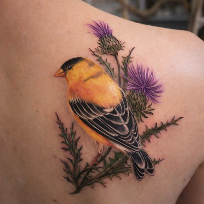 The Timeless Bird Tattoos By Tara Morgan