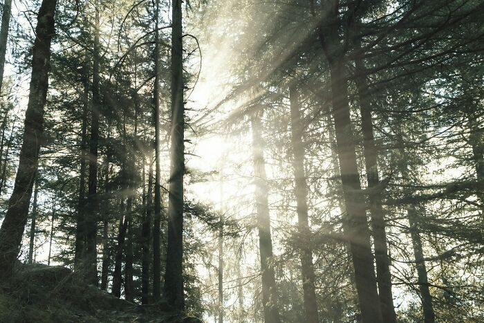 Kufri: The Quieter Side Of Himachal That Stole My Heart