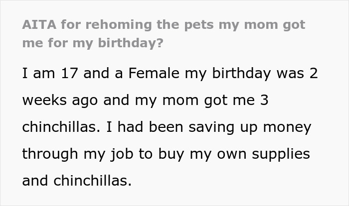 Teen Tries To Give Gifted Chinchillas A Proper Life, Mom Mad She Won’t Settle For The Bare Minimum Teen Tries To Give Gifted Chinchillas A Proper Life, Mom Mad She Won’t Settle For The Bare Minimum