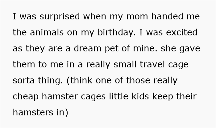 Teen Tries To Give Gifted Chinchillas A Proper Life, Mom Mad She Won’t Settle For The Bare Minimum Teen Tries To Give Gifted Chinchillas A Proper Life, Mom Mad She Won’t Settle For The Bare Minimum