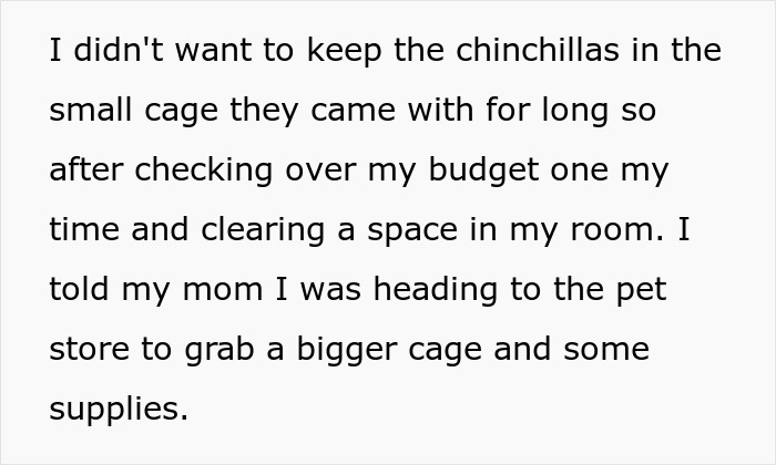 Teen Tries To Give Gifted Chinchillas A Proper Life, Mom Mad She Won’t Settle For The Bare Minimum Teen Tries To Give Gifted Chinchillas A Proper Life, Mom Mad She Won’t Settle For The Bare Minimum