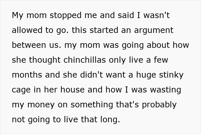 Teen Tries To Give Gifted Chinchillas A Proper Life, Mom Mad She Won’t Settle For The Bare Minimum Teen Tries To Give Gifted Chinchillas A Proper Life, Mom Mad She Won’t Settle For The Bare Minimum