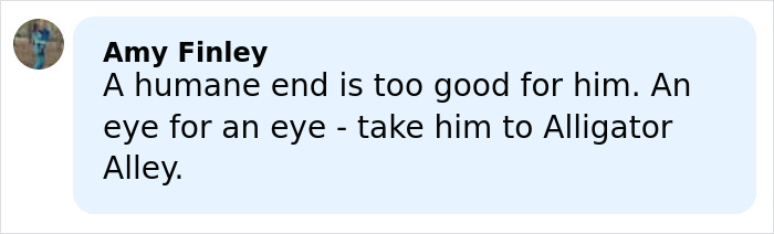 Five-Year-Old’s Chilling Last Words Before She Disappeared In “Alligator Alley” Resurface