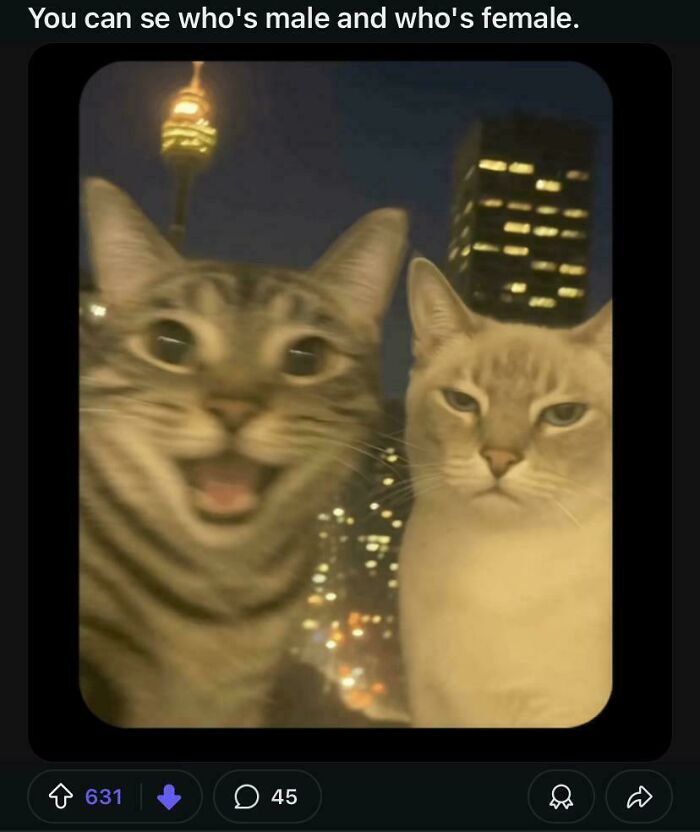 104 Examples Of Gendered Nonsense That Show We’ve Officially Lost The Plot