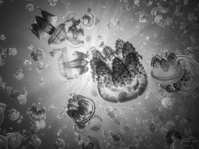 45 Breathtaking Aerial And Underwater Photos From The Exposure One Awards 45 Breathtaking Aerial And Underwater Photos From The Exposure One Awards