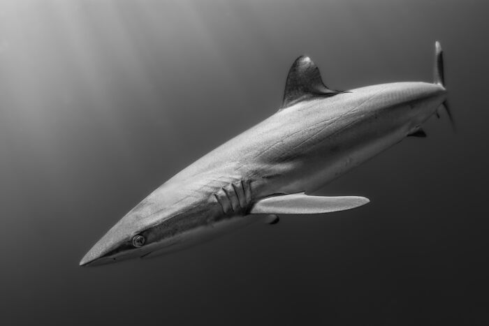 45 Breathtaking Aerial And Underwater Photos From The Exposure One Awards 45 Breathtaking Aerial And Underwater Photos From The Exposure One Awards