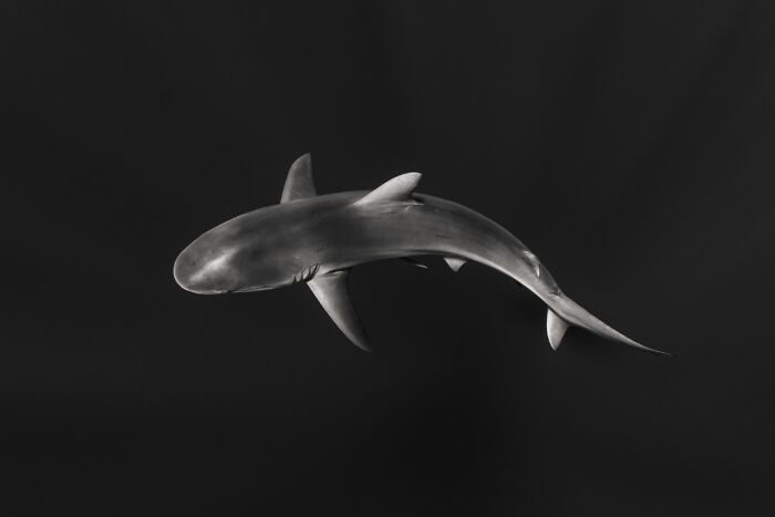 45 Breathtaking Aerial And Underwater Photos From The Exposure One Awards 45 Breathtaking Aerial And Underwater Photos From The Exposure One Awards