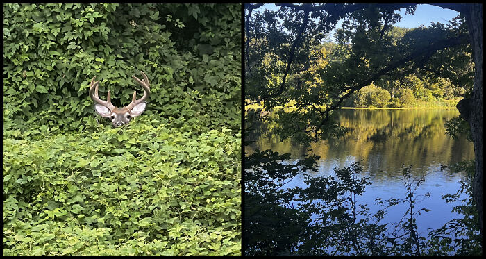 Eric Carpenter’s Photo Journey Through The Lens Of A Daily Walk Eric Carpenter’s Photo Journey Through The Lens Of A Daily Walk