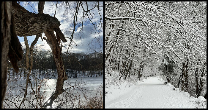 Eric Carpenter’s Photo Journey Through The Lens Of A Daily Walk Eric Carpenter’s Photo Journey Through The Lens Of A Daily Walk