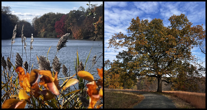 Eric Carpenter’s Photo Journey Through The Lens Of A Daily Walk Eric Carpenter’s Photo Journey Through The Lens Of A Daily Walk