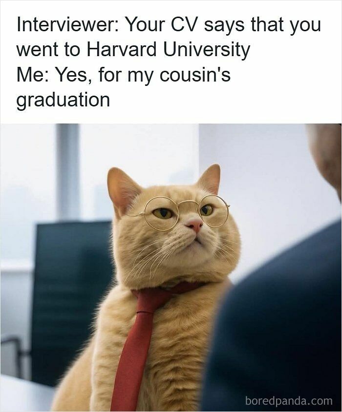 53 Resume Memes For Anyone Who’s Emotionally Done With The Hiring Process 53 Resume Memes For Anyone Who’s Emotionally Done With The Hiring Process