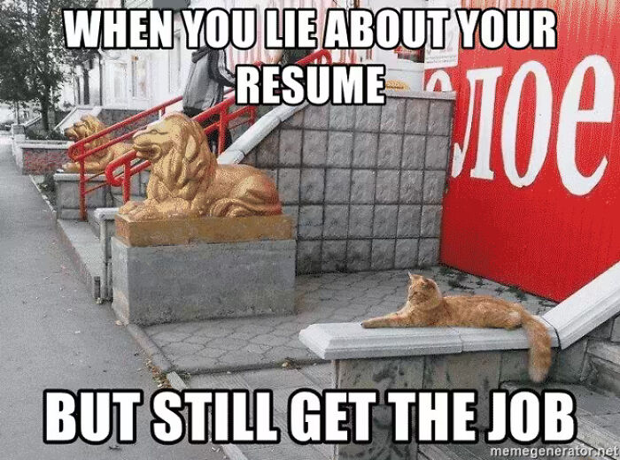 53 Resume Memes For Anyone Who’s Emotionally Done With The Hiring Process 53 Resume Memes For Anyone Who’s Emotionally Done With The Hiring Process