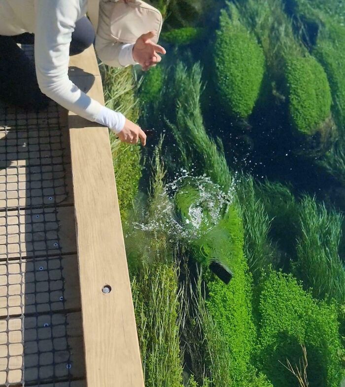 58 Someone’s Day Was Disturbed Or Brightened By Hilarious Wife Fails (New Pics) 58 Someone’s Day Was Disturbed Or Brightened By Hilarious Wife Fails (New Pics)