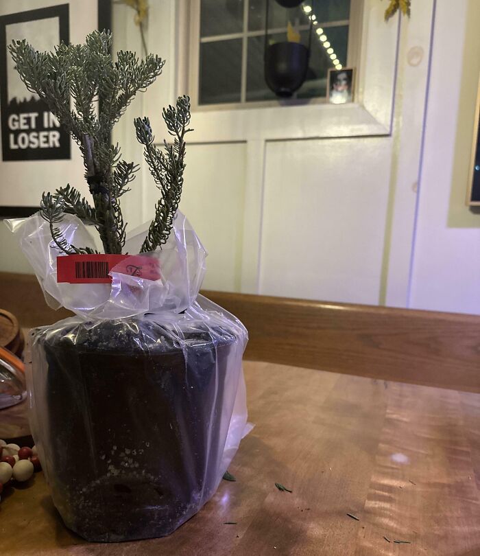 58 Someone’s Day Was Disturbed Or Brightened By Hilarious Wife Fails (New Pics) 58 Someone’s Day Was Disturbed Or Brightened By Hilarious Wife Fails (New Pics)