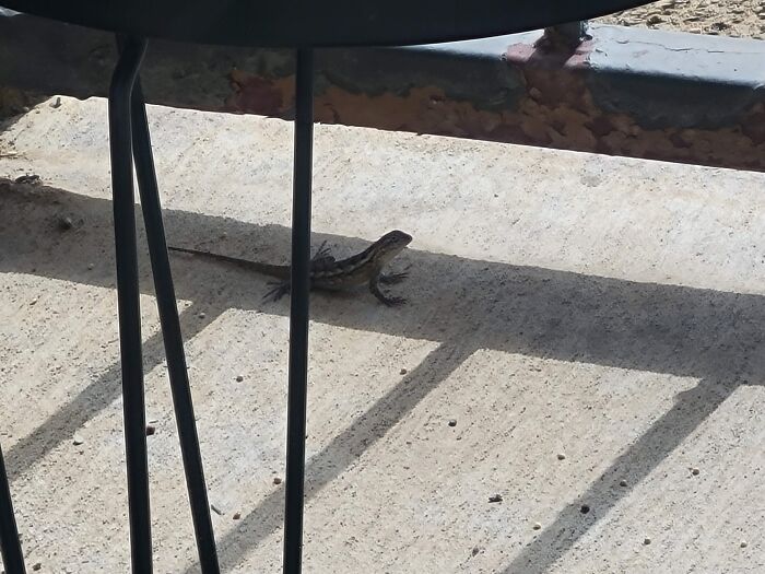 “I’ve Accepted My Fate”: 84 Mysteries People Would Love To Solve If It Wasn’t So Much Work