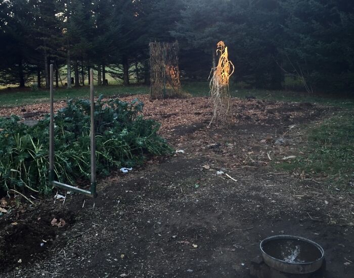 “I’ve Accepted My Fate”: 84 Mysteries People Would Love To Solve If It Wasn’t So Much Work