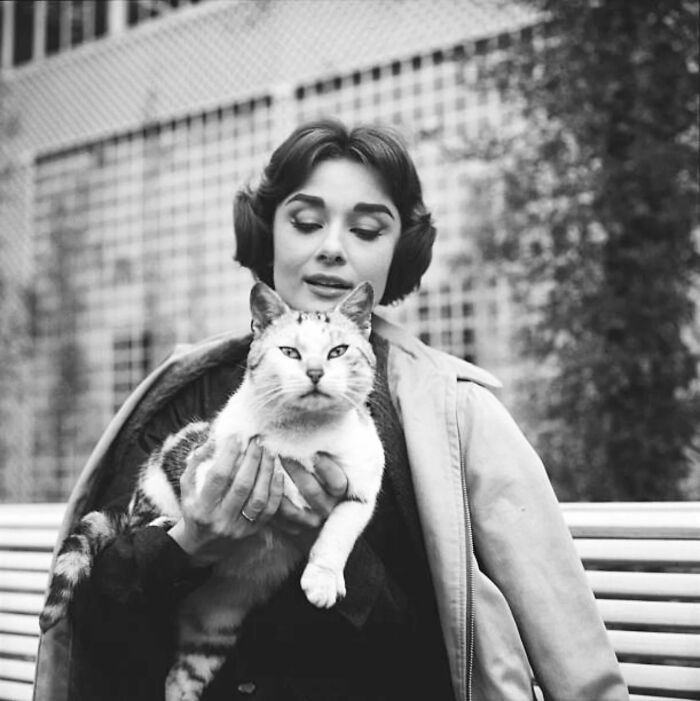 44 Vintage Photos Showing Famous People And Ordinary Folks Equally Obsessed With Cats (New Pics) 44 Vintage Photos Showing Famous People And Ordinary Folks Equally Obsessed With Cats (New Pics)