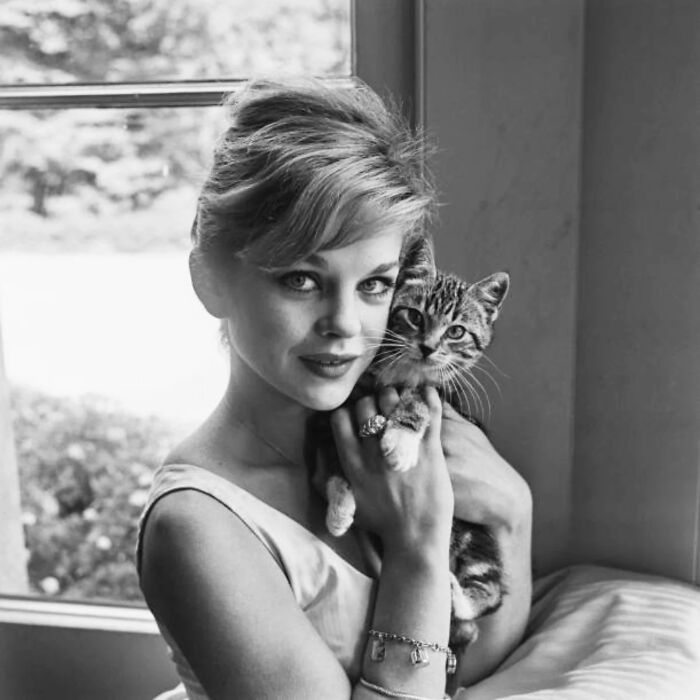 44 Vintage Photos Showing Famous People And Ordinary Folks Equally Obsessed With Cats (New Pics) 44 Vintage Photos Showing Famous People And Ordinary Folks Equally Obsessed With Cats (New Pics)