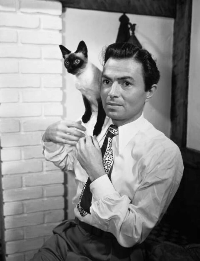 44 Vintage Photos Showing Famous People And Ordinary Folks Equally Obsessed With Cats (New Pics) 44 Vintage Photos Showing Famous People And Ordinary Folks Equally Obsessed With Cats (New Pics)