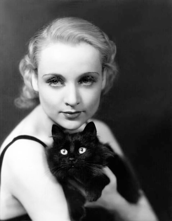 44 Vintage Photos Showing Famous People And Ordinary Folks Equally Obsessed With Cats (New Pics) 44 Vintage Photos Showing Famous People And Ordinary Folks Equally Obsessed With Cats (New Pics)