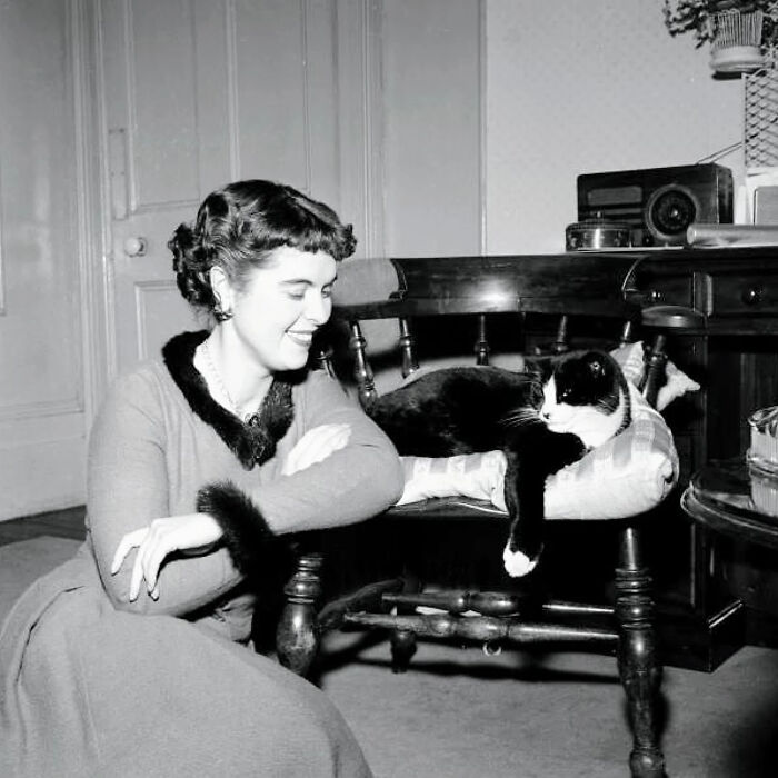 44 Vintage Photos Showing Famous People And Ordinary Folks Equally Obsessed With Cats (New Pics) 44 Vintage Photos Showing Famous People And Ordinary Folks Equally Obsessed With Cats (New Pics)
