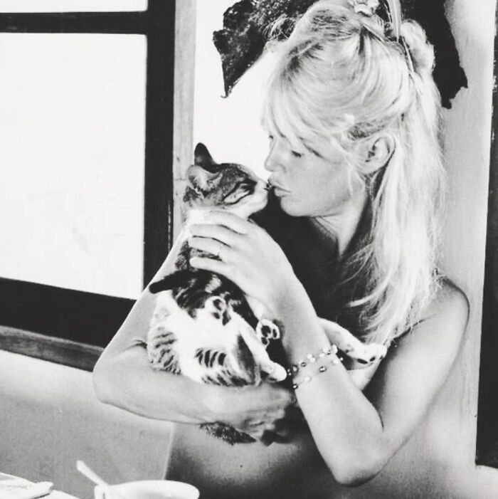 44 Vintage Photos Showing Famous People And Ordinary Folks Equally Obsessed With Cats (New Pics) 44 Vintage Photos Showing Famous People And Ordinary Folks Equally Obsessed With Cats (New Pics)