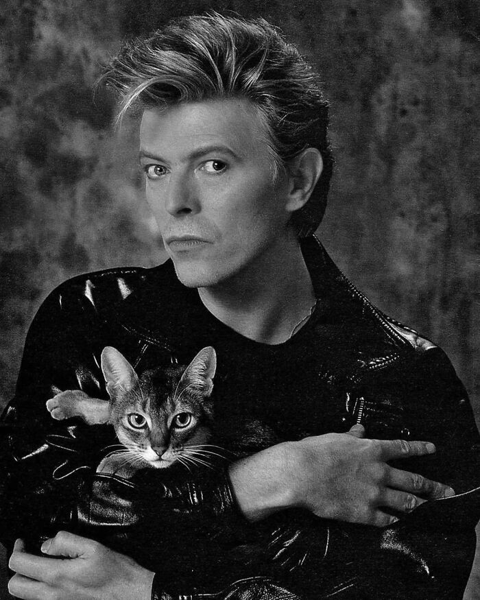 44 Vintage Photos Showing Famous People And Ordinary Folks Equally Obsessed With Cats (New Pics) 44 Vintage Photos Showing Famous People And Ordinary Folks Equally Obsessed With Cats (New Pics)
