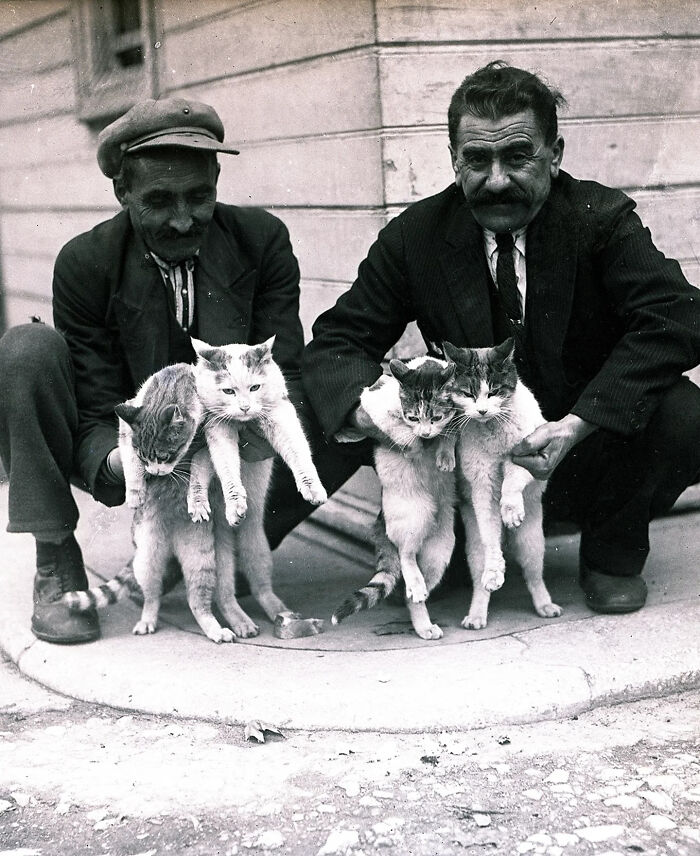 44 Vintage Photos Showing Famous People And Ordinary Folks Equally Obsessed With Cats (New Pics) 44 Vintage Photos Showing Famous People And Ordinary Folks Equally Obsessed With Cats (New Pics)