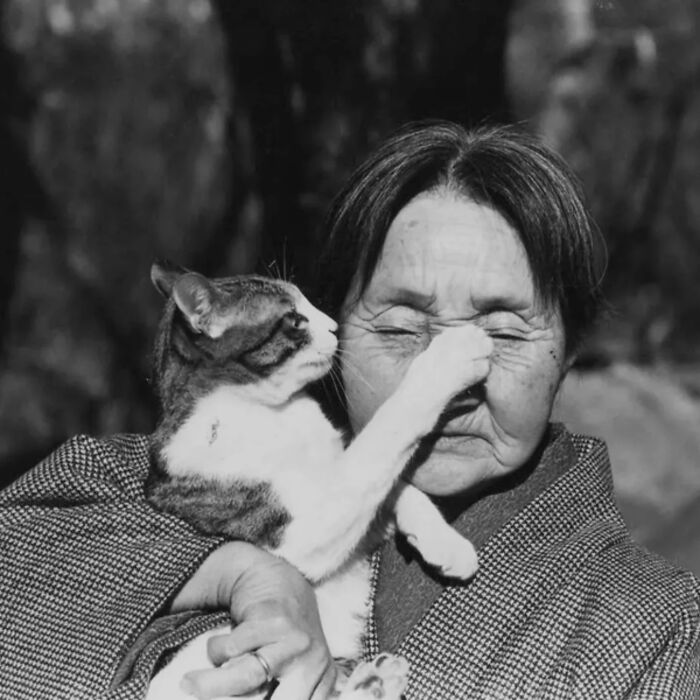 44 Vintage Photos Showing Famous People And Ordinary Folks Equally Obsessed With Cats (New Pics) 44 Vintage Photos Showing Famous People And Ordinary Folks Equally Obsessed With Cats (New Pics)