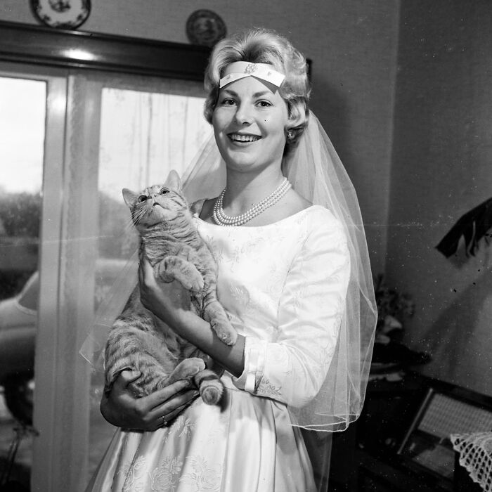 44 Vintage Photos Showing Famous People And Ordinary Folks Equally Obsessed With Cats (New Pics) 44 Vintage Photos Showing Famous People And Ordinary Folks Equally Obsessed With Cats (New Pics)