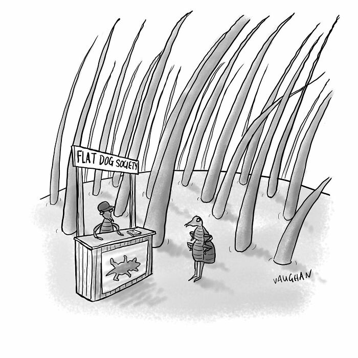 This Artist Proves Comedy Can Come From Anywhere, And Here Are His 50 Best Comics