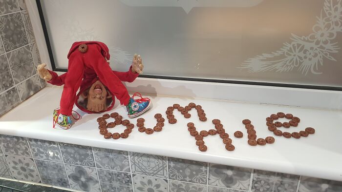 I Made A Special Elf For My Daughters To Celebrate Who They Are, Differences And All